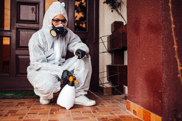 Attic and Crawl Space Rodent Treatment in Cavalier